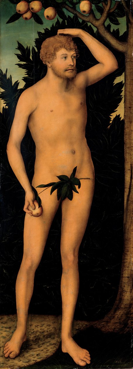 Adem, 1537