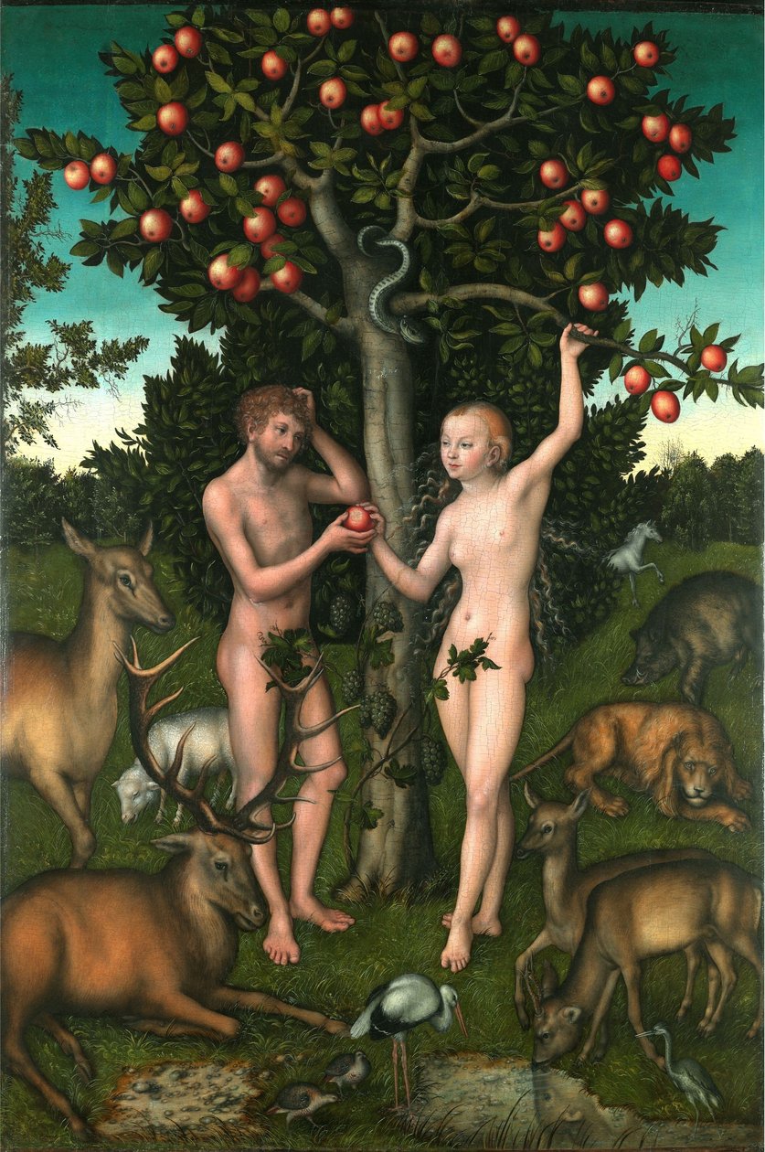  by Lucas Cranach the Elder