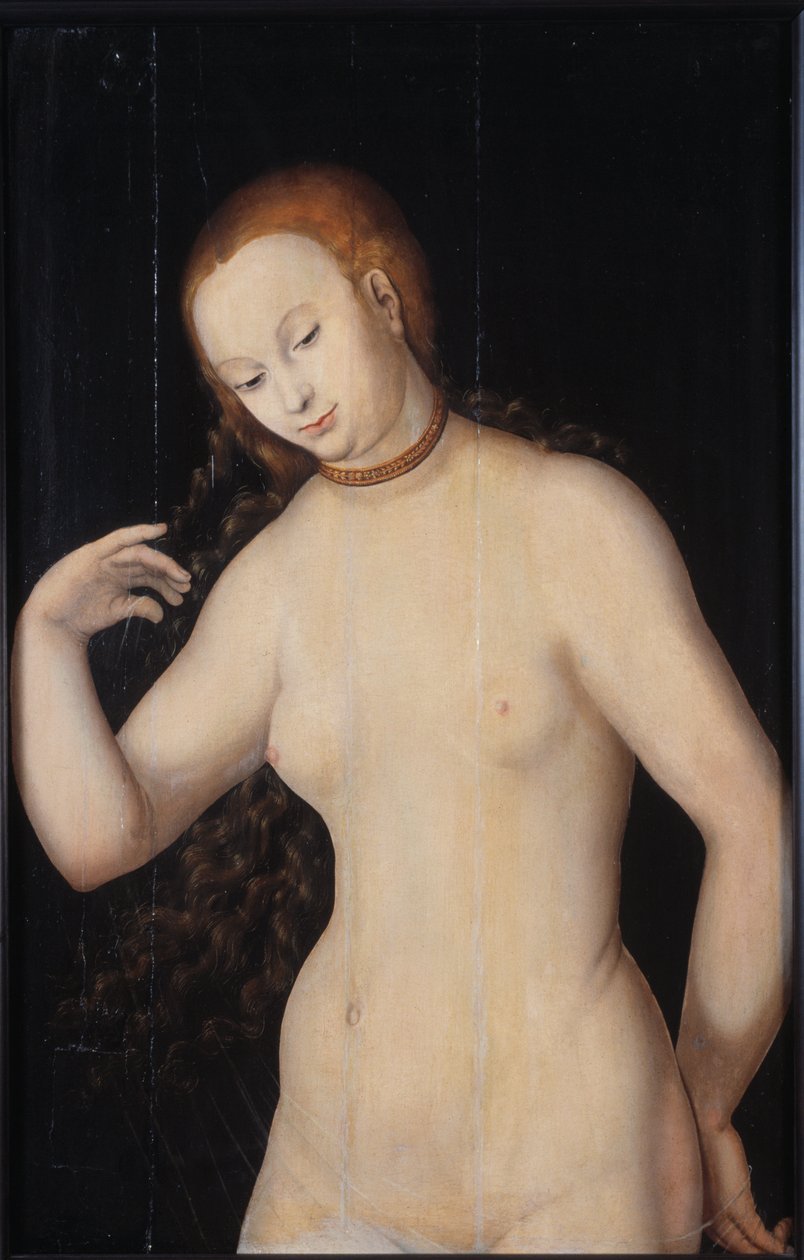 Venüs, 1527 ve 1531 Arası. by Lucas Cranach the Elder
