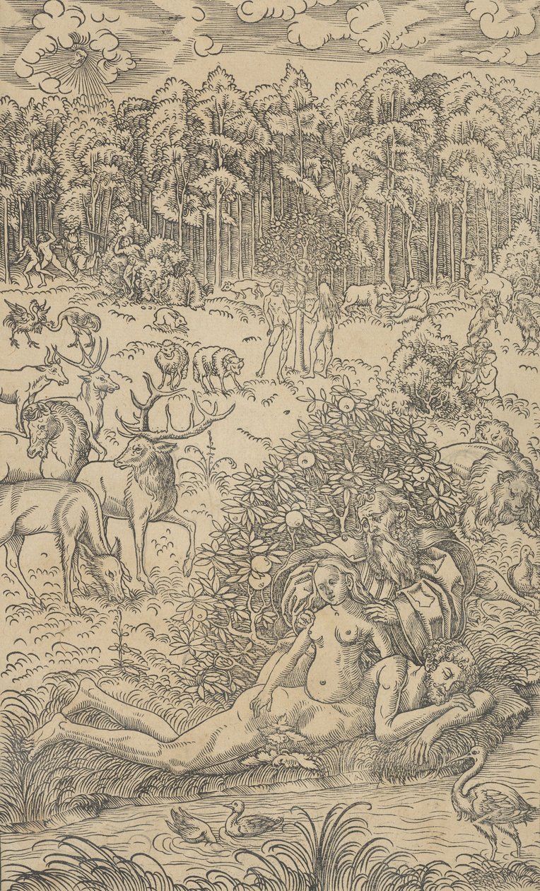 Havva'nın Yaratılışı by Lucas Cranach the Younger  