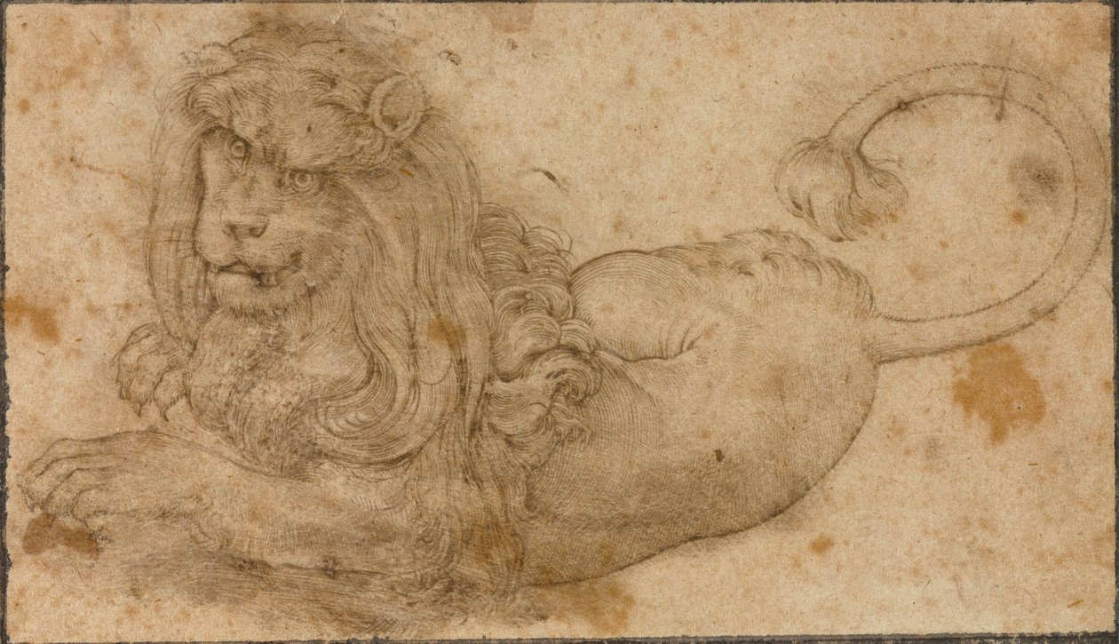 Aslan Çalışması by Lucas the Elder Cranach