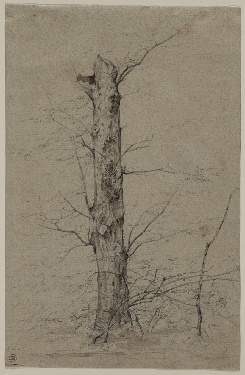 Ağaç, ç. 1835-45. by Ludwig Ferdinand Schnorr von Carolsfeld