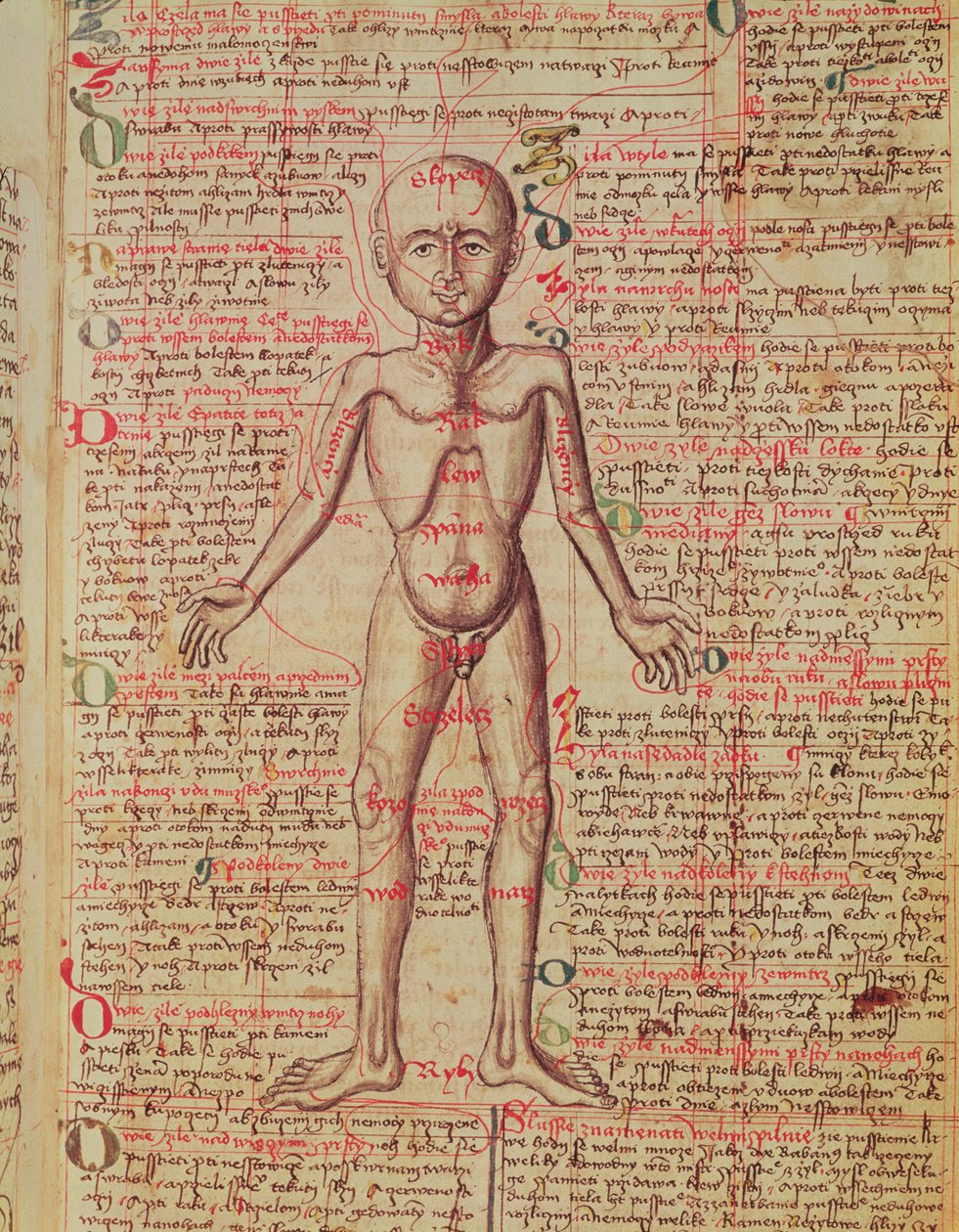 Tractatus de Pestilencia