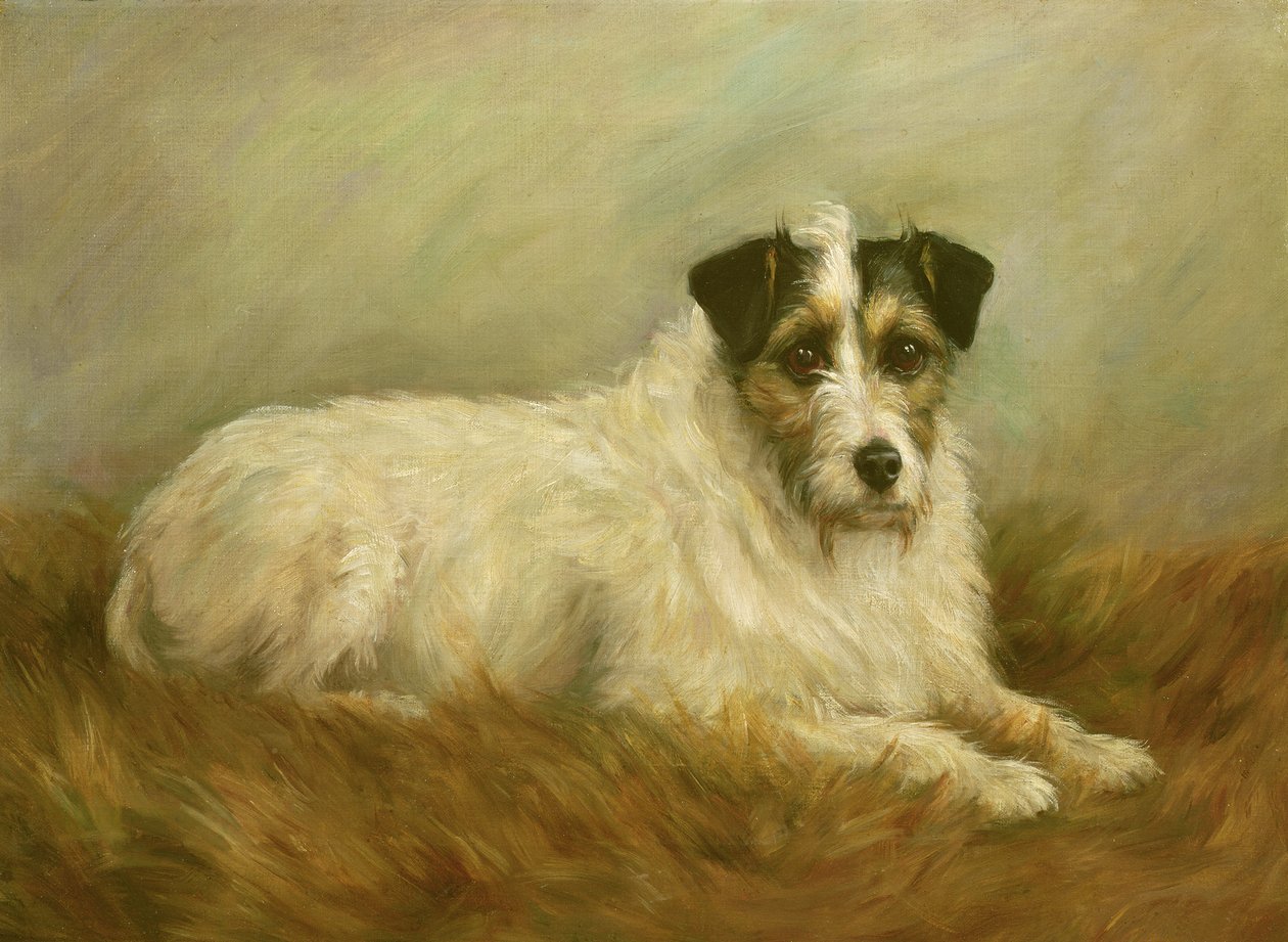korkunç by Mabel Hastings