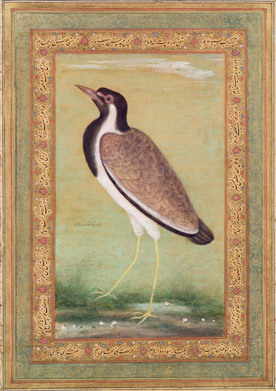 Hint kız kuşu, 1800 dolayları by Mansur