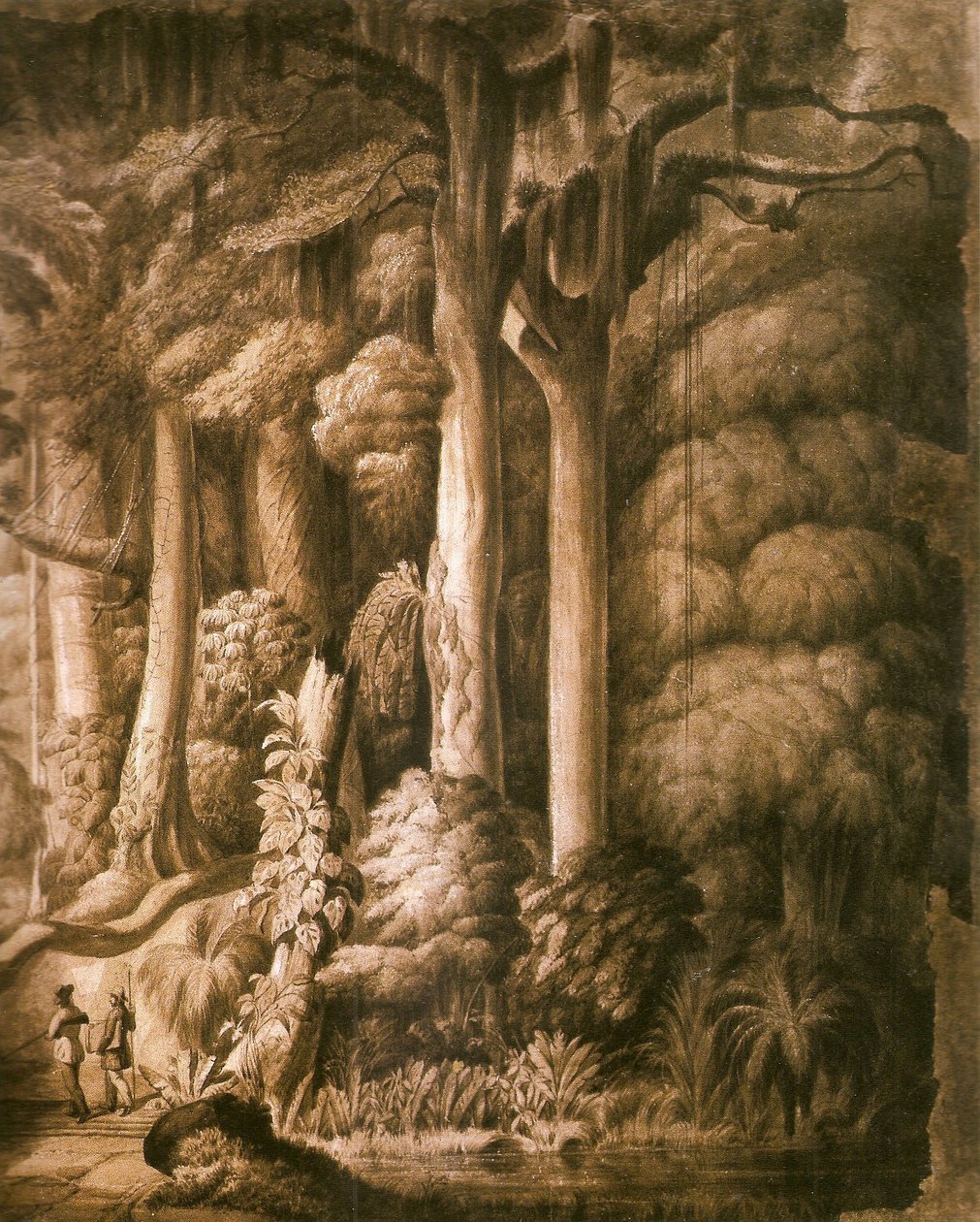 Brezilya orman detay by Manuel Araújo de Porto Alegre