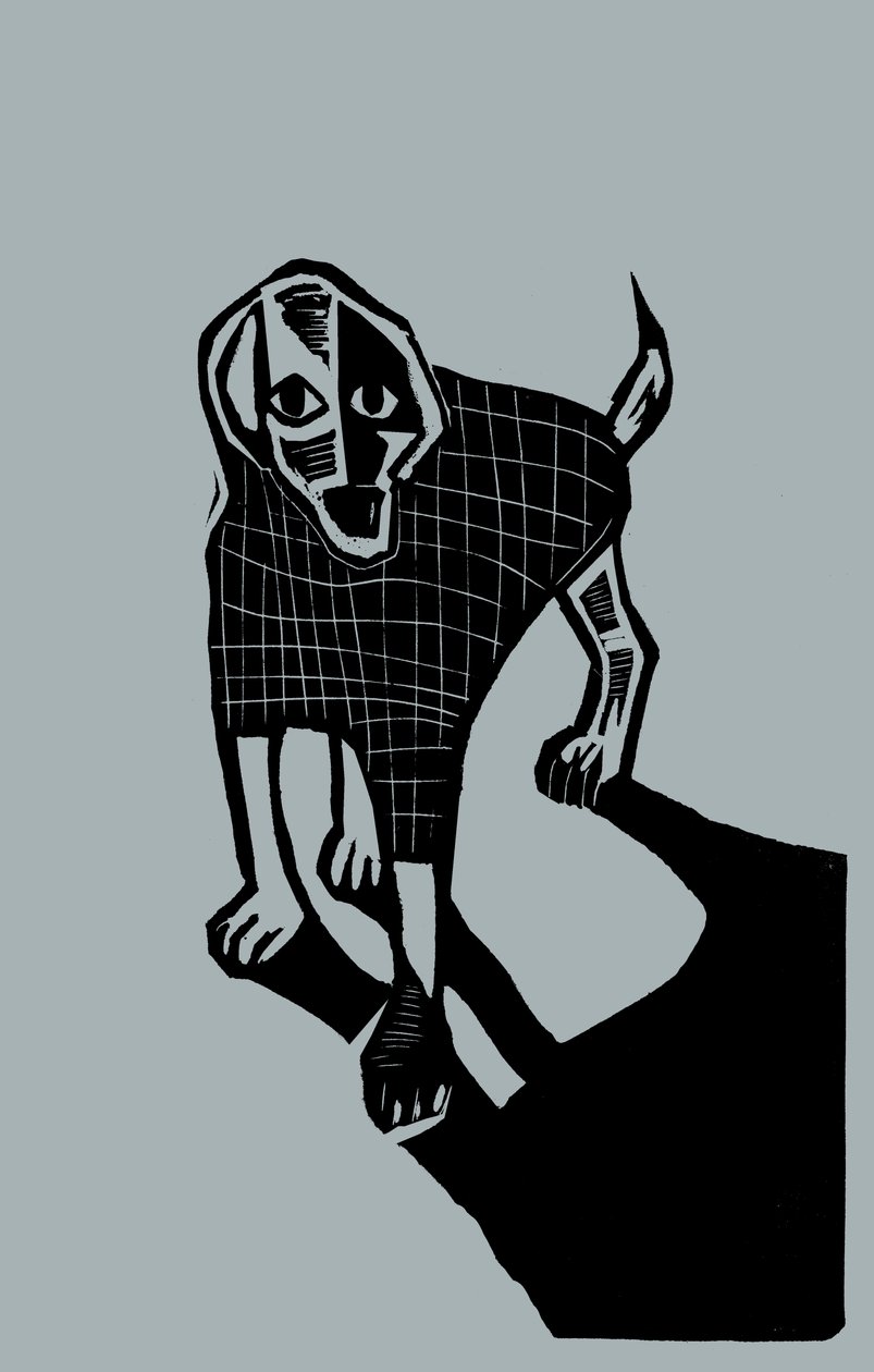  by Marco Campedelli
