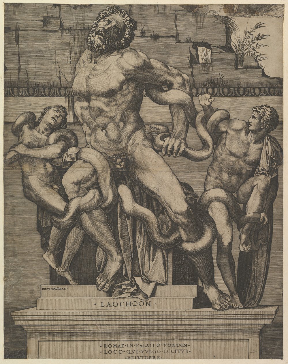 Roma ihtişamının aynası: Laocoon, 16. yüzyıl. by Marco Dente