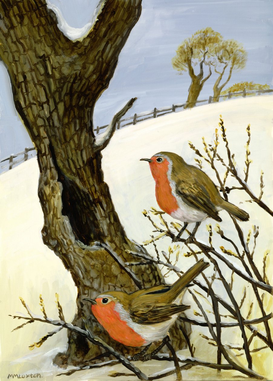 Bir Çift Robin by Margaret Loxton