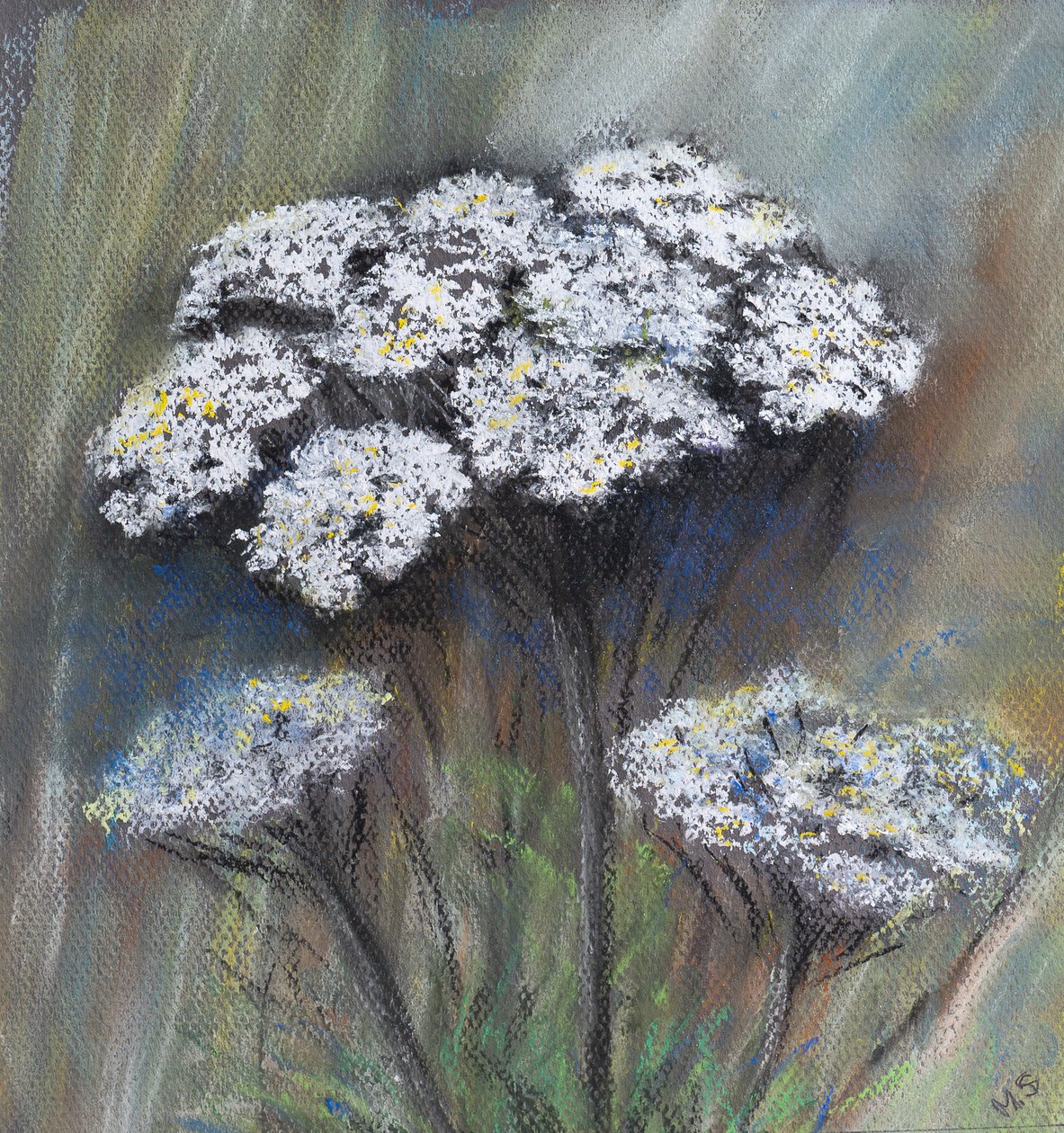 İnek maydanozu (Anthriscus Sylvestris), 2021 (pastel) by Margo Starkey