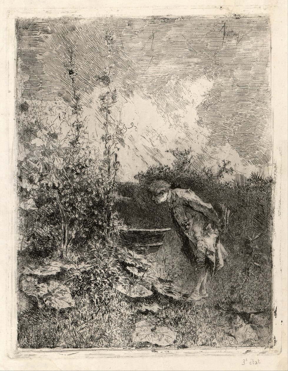 Botanikçi by Marià Fortuny