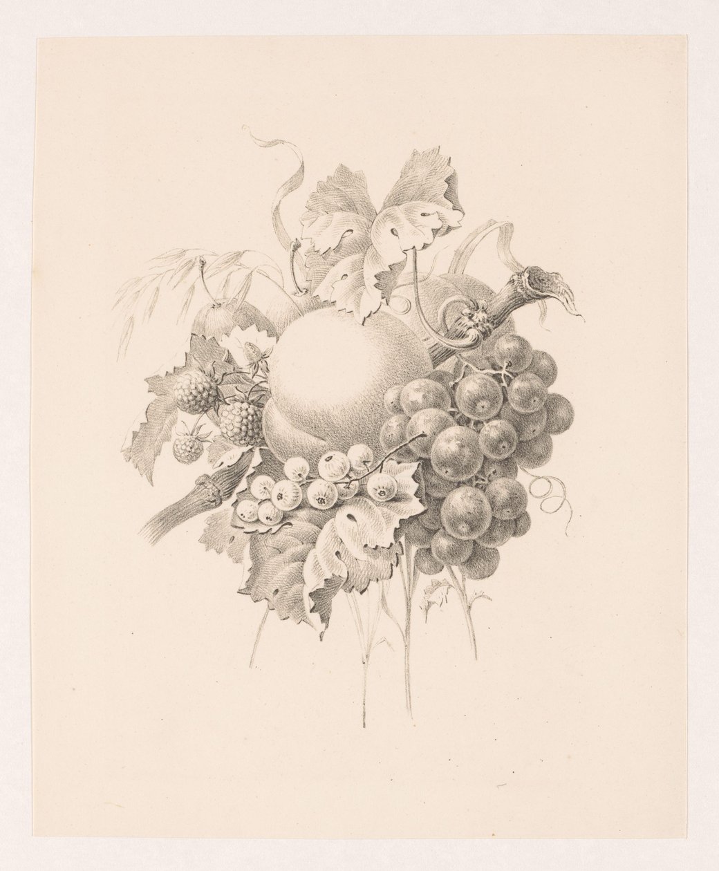 Meyvelerin bileşimi by Maria Geertruida de Goeje Barbiers (attributed to)