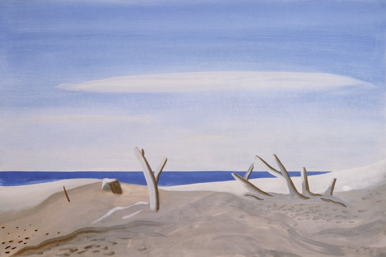 Bois Flottes du Grand Rafeau, 1987 by Marie Hugo