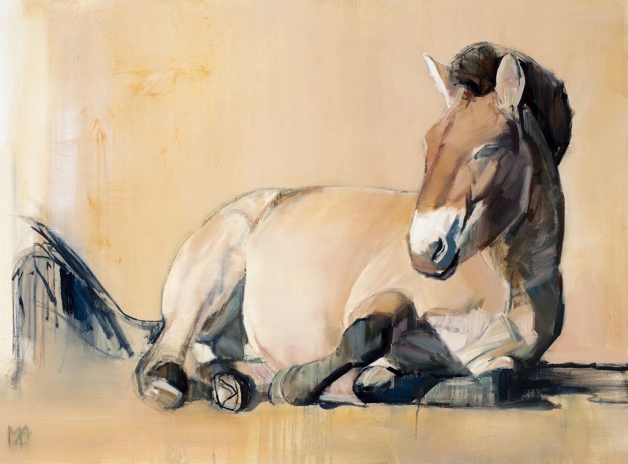 Yayla Güneşi (Przewalski), 2014, by Mark Adlington