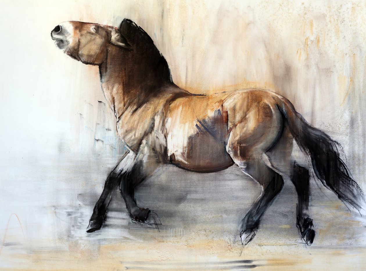 Antik At (kışın Przewalski), 2014 by Mark Adlington
