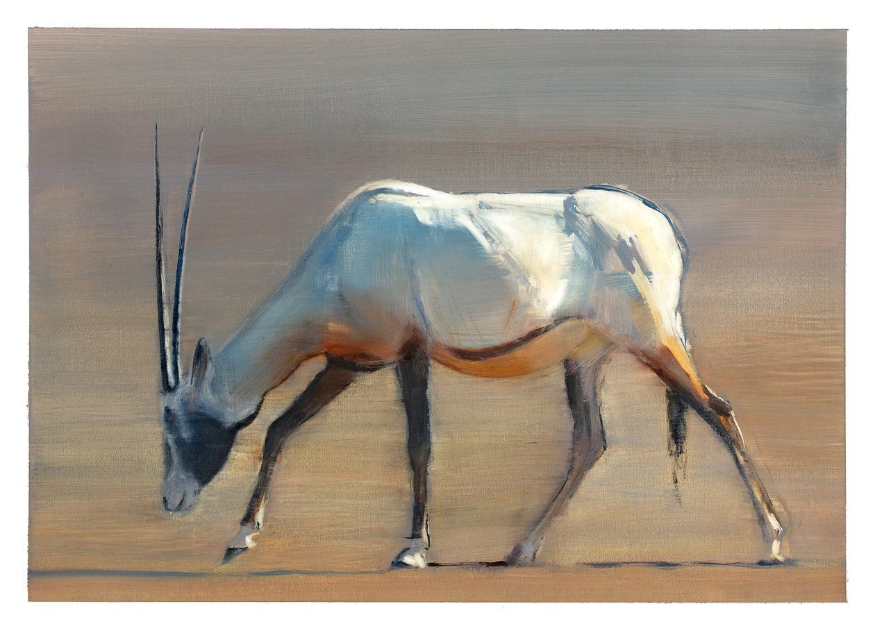 Arabian Oryx, 2010 (kağıt üzerine yağlı boya) by Mark Adlington