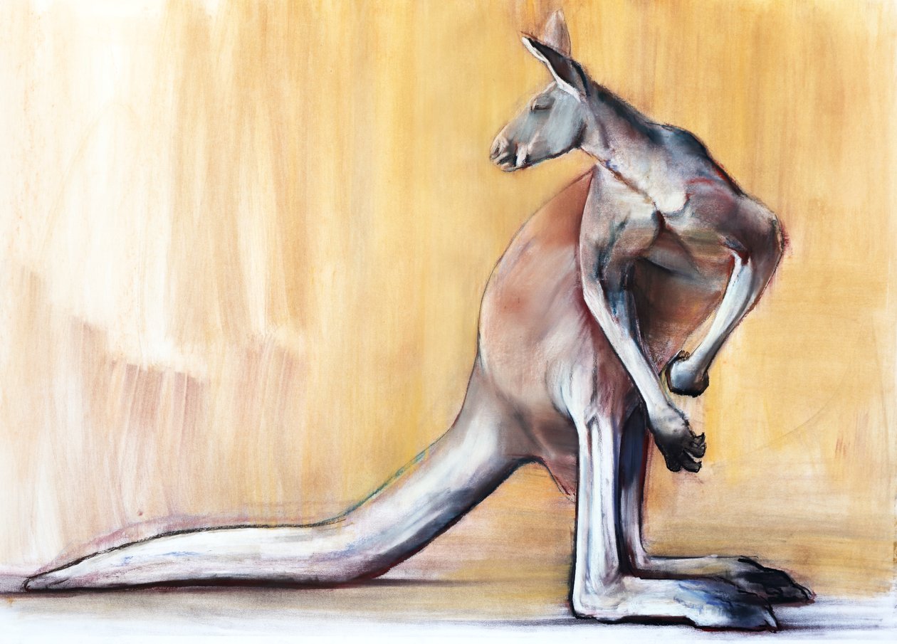 Büyük Kırmızı (Kanguru), 2014 by Mark Adlington