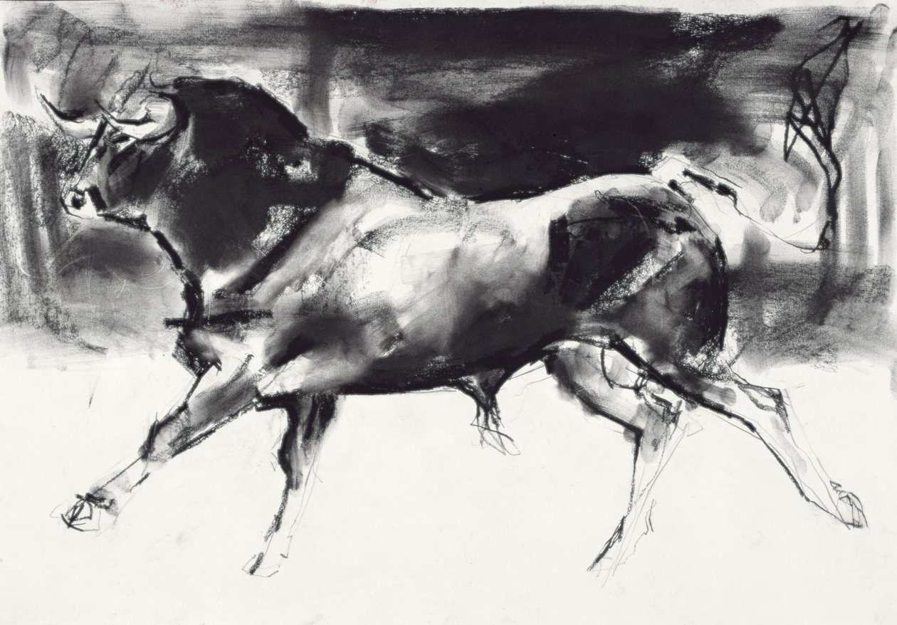 Black Bull (kağıt üzerinde kömür) by Mark Adlington
