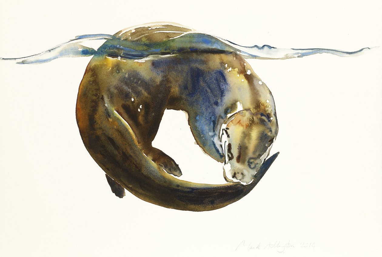 Hayat çemberi, 2014, (kağıt üzerine suluboya) by Mark Adlington