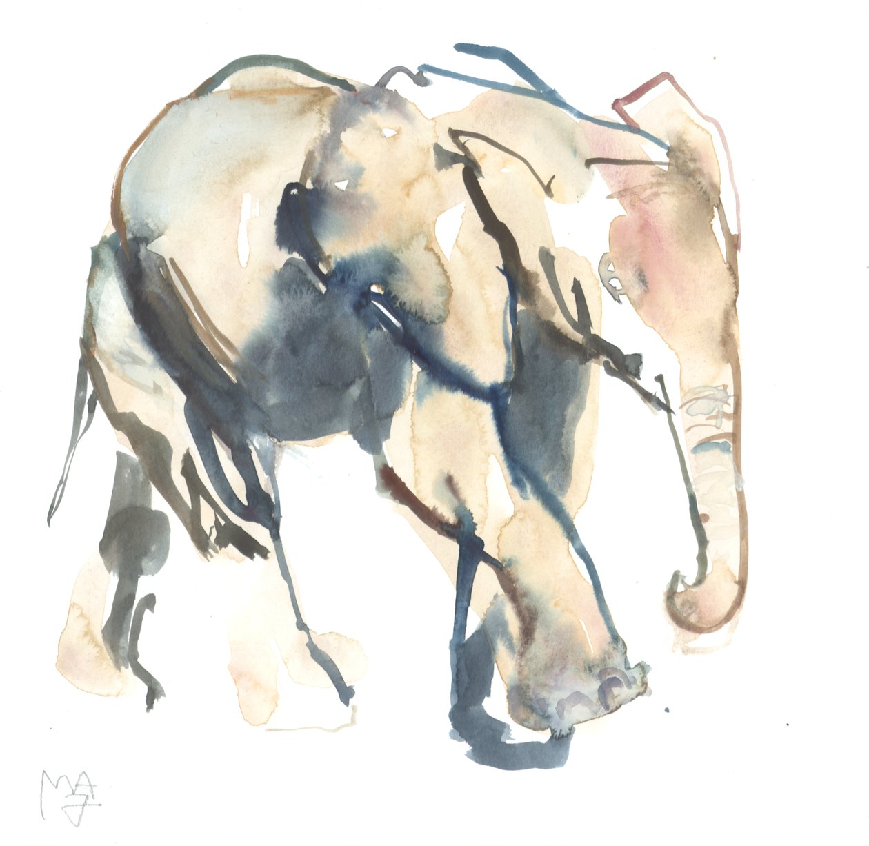 Fil buzağı, Loisaba, 2017 (kağıt üzerine sulu boya)) by Mark Adlington