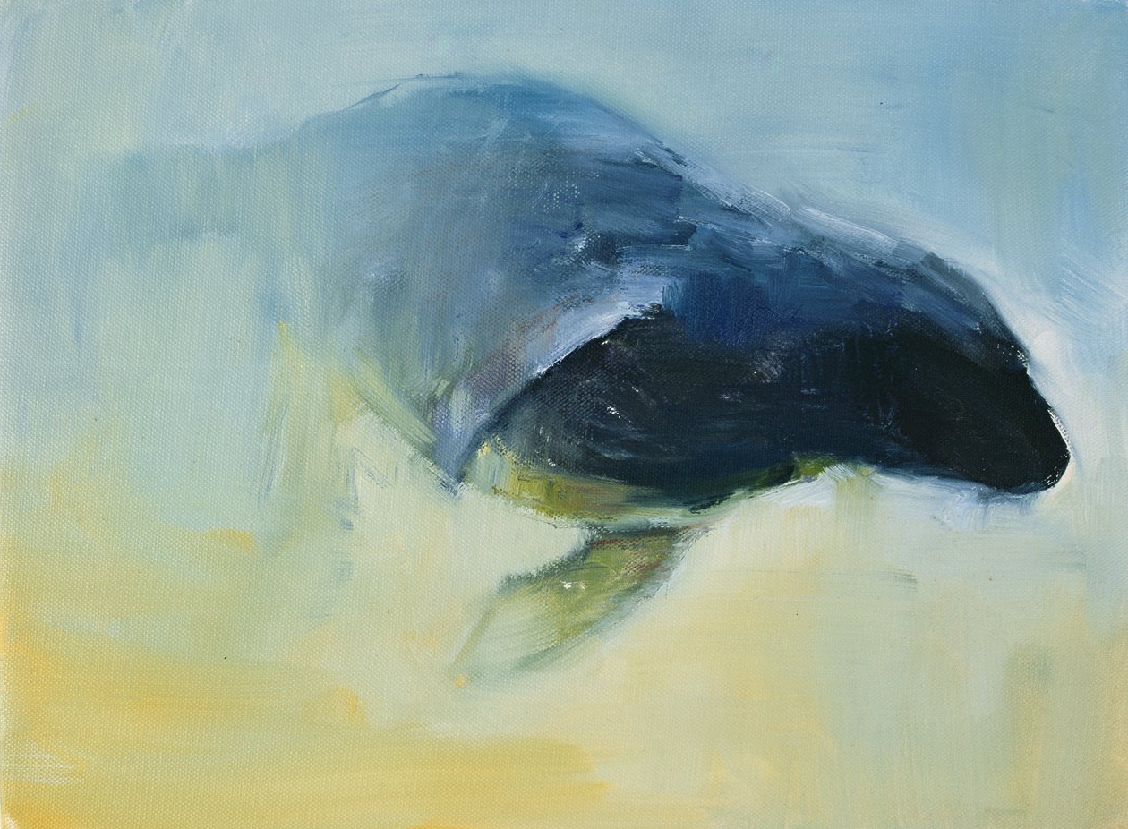 Gelişen, 2003 by Mark Adlington