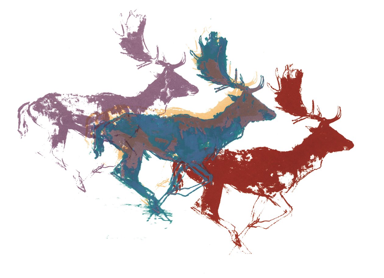 Nadas Bucks (üç), 2015, (ekran baskısı) by Mark Adlington