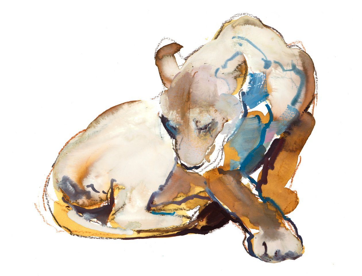 Kedi Boyası (aslan), 2020 by Mark Adlington