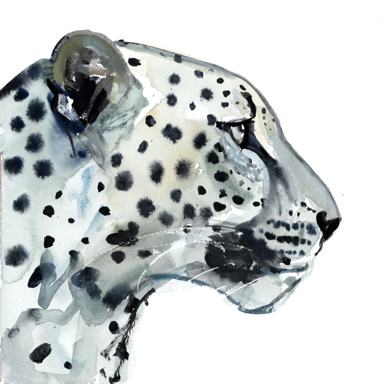 Odak, 2015, (kağıt üzerine sulu boya) by Mark Adlington