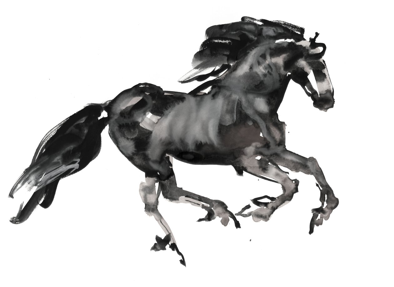 Gallop, 2015, (kağıt üzerine mürekkep ve sulu boya) by Mark Adlington