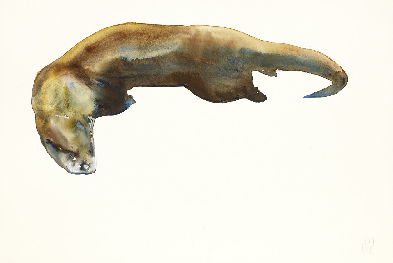 Altın, kağıt üzerine sulu boya (2014) by Mark Adlington