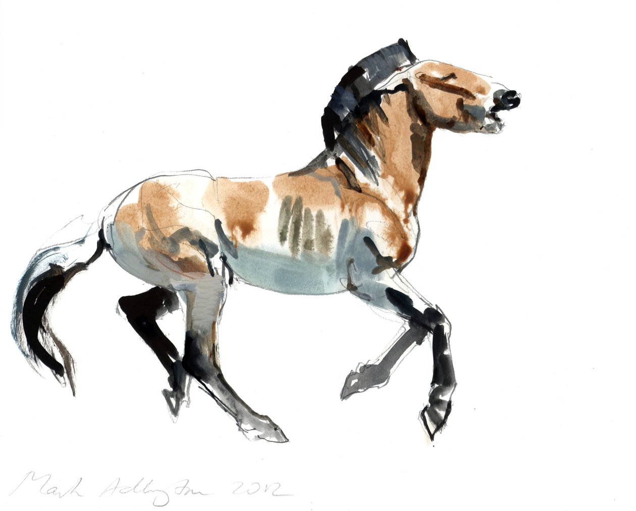 Yunanca (Przewalski), 2012, (kağıt üzerinde karışık teknik) by Mark Adlington