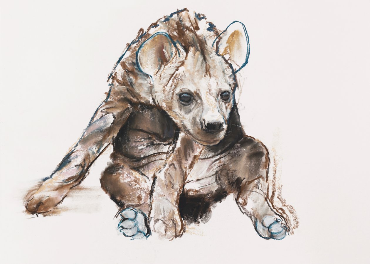 Hyaena Pup (baş aşağı), 2019 by Mark Adlington