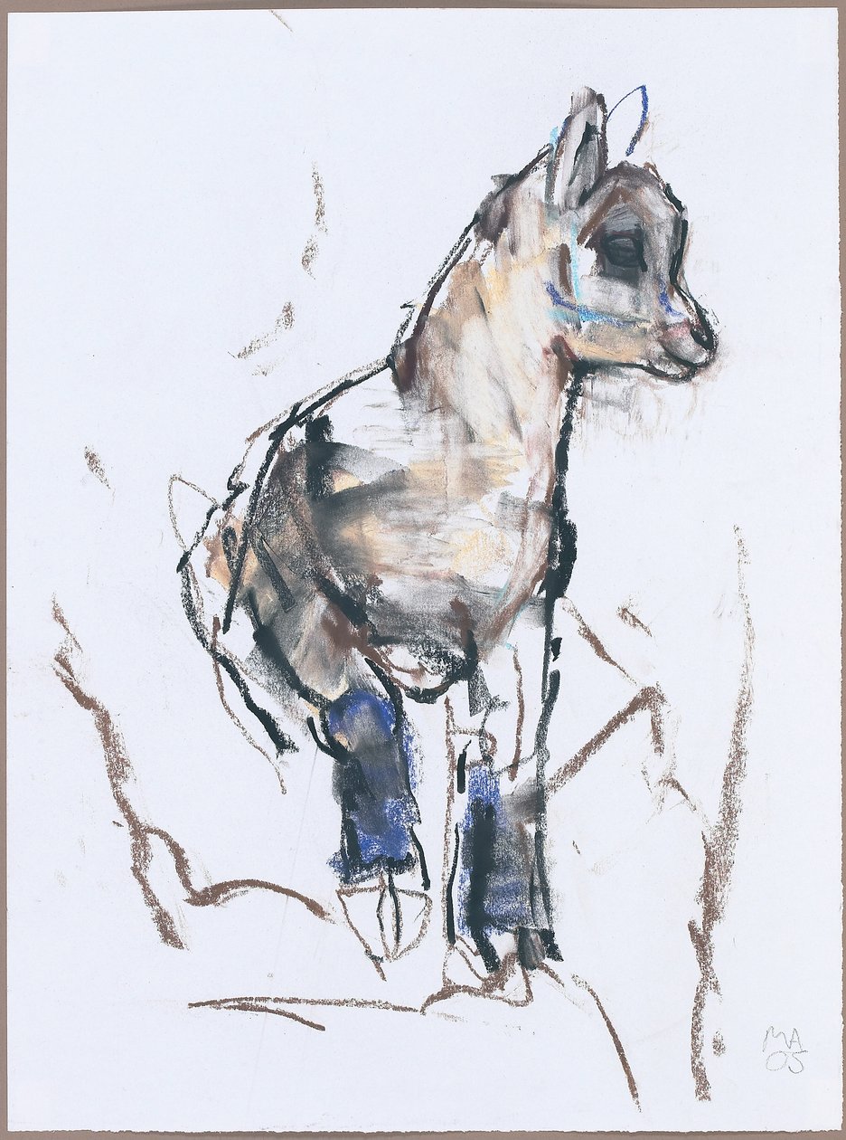 Ibex Kid (kağıt üzerinde kömür ve conte) by Mark Adlington
