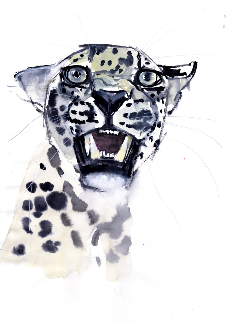 Incisor Snarl (Arap Leoparı), 2008 by Mark Adlington