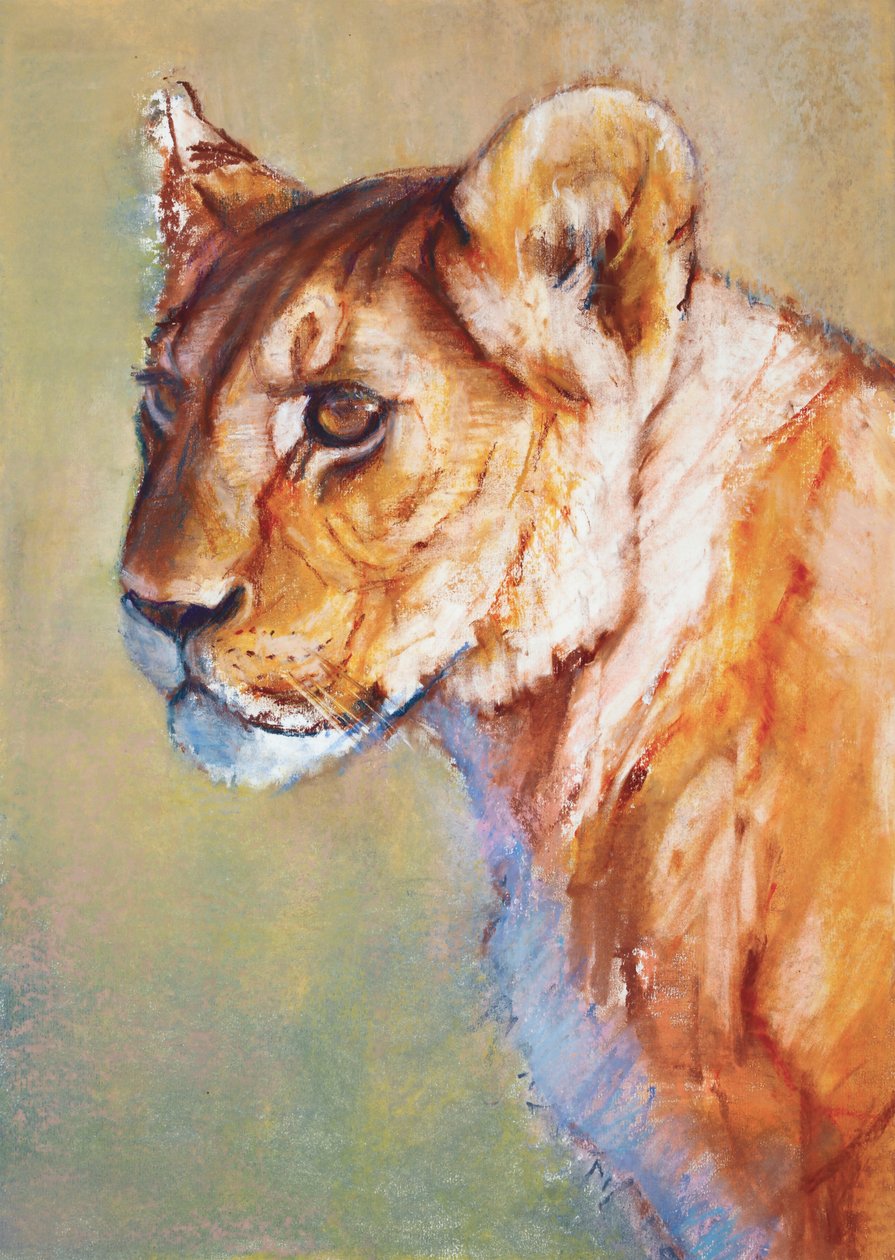 Gözcü, 2019 by Mark Adlington