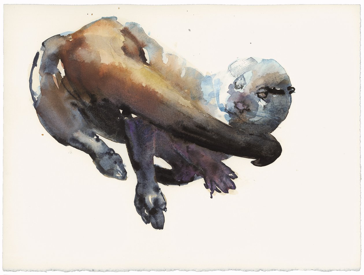 Otter Çalışması I - 