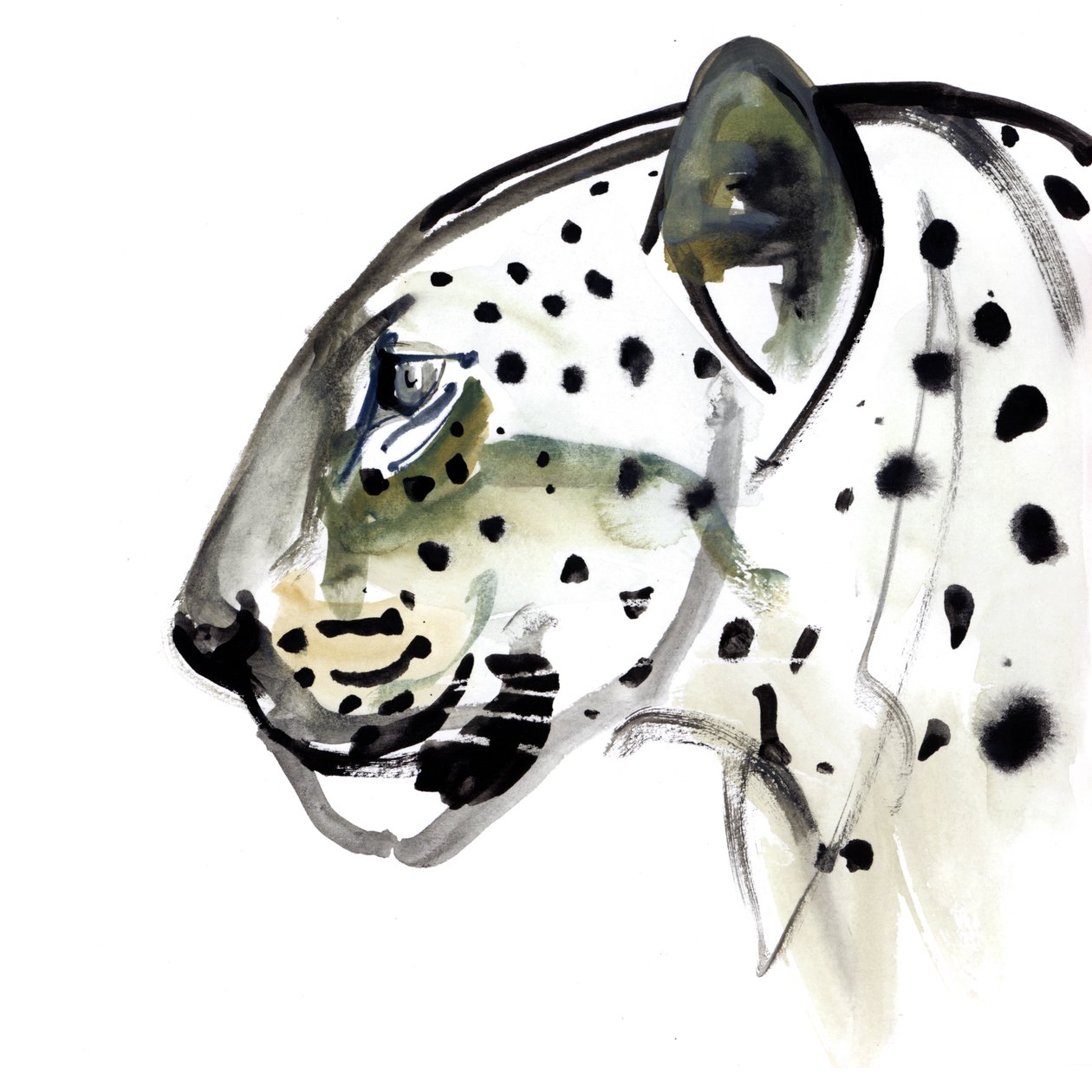 Mükemmel Profil, 2015 by Mark Adlington