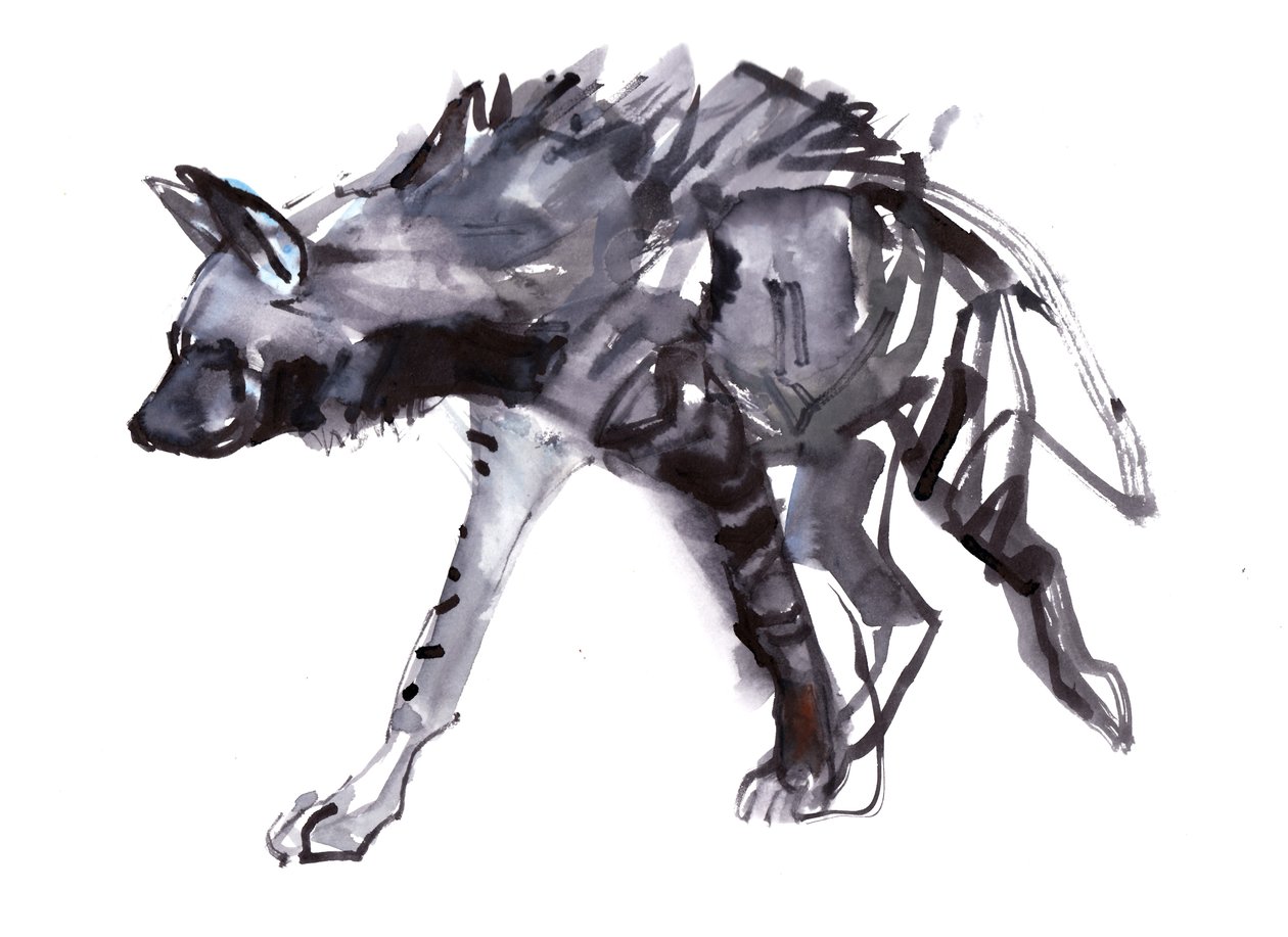 Ragamuffin, 2010, (kağıt üzerine sulu boya) by Mark Adlington
