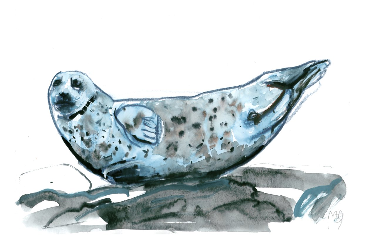 Kayalık (mühür), 2019 by Mark Adlington