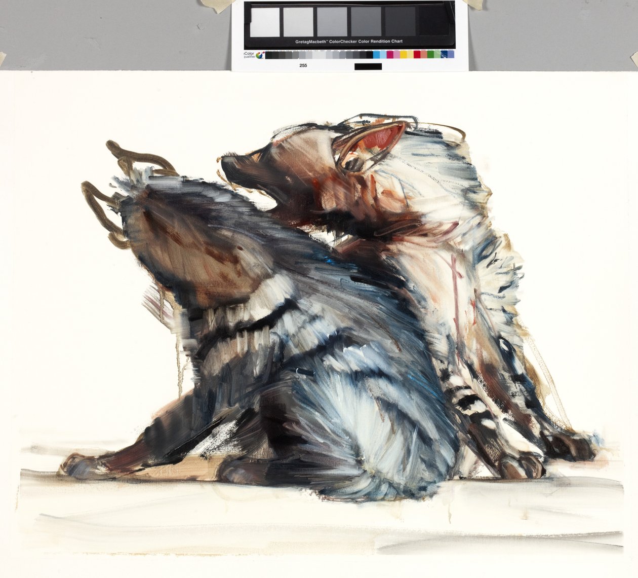 Kavgacı Çizgiler, 2010 by Mark Adlington