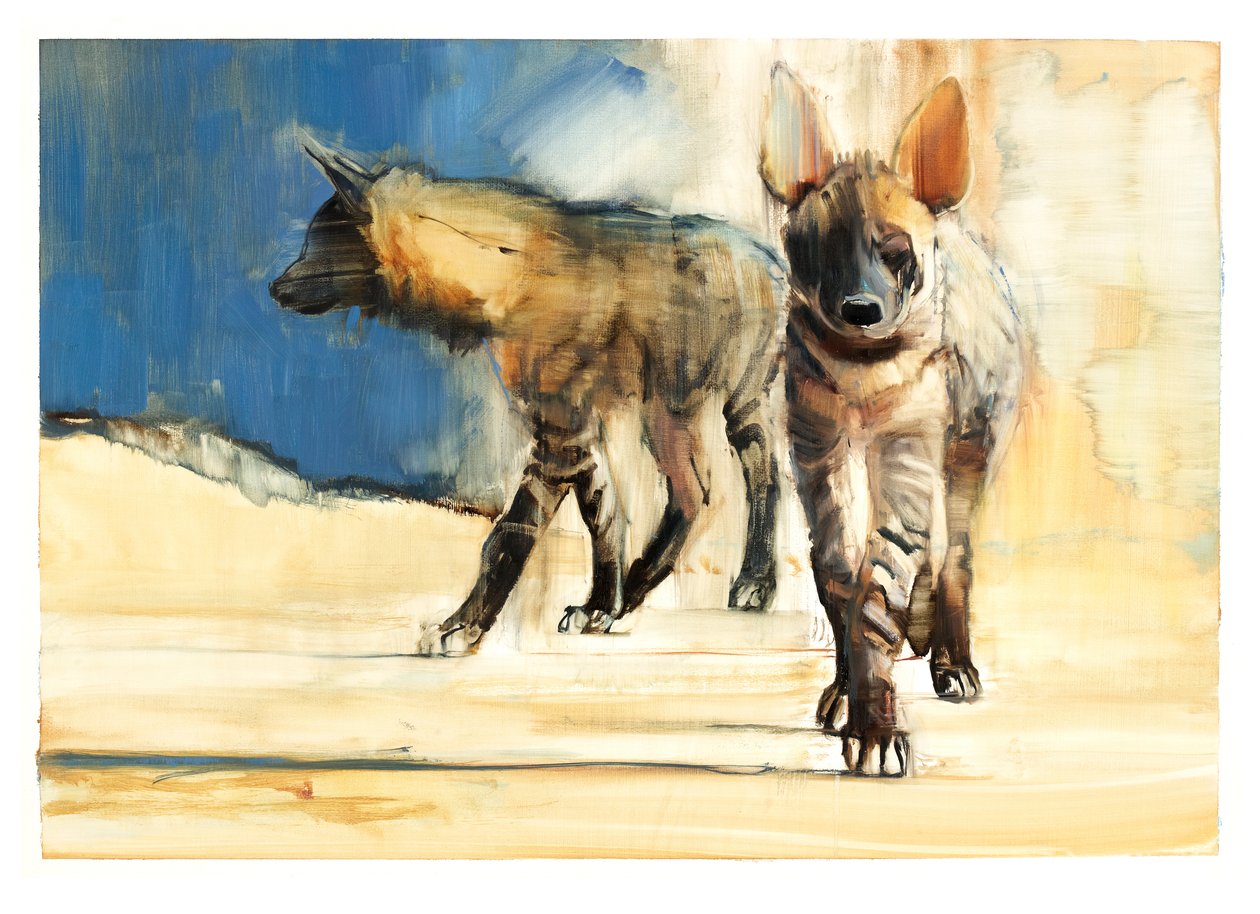 Çizgili Sırtlanlar, 2010 (kağıt üzerine yağlı boya) by Mark Adlington