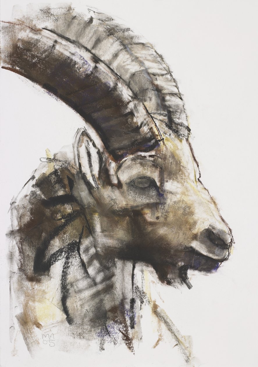 Testa, 2005 (kağıt üzerinde kömür ve conte) by Mark Adlington