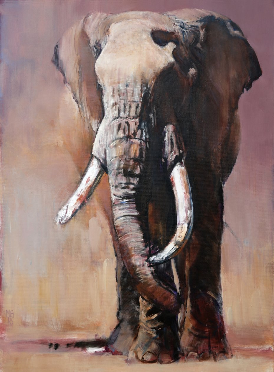 Ayrı ayrı, Chyulu Tepeleri, 2018 by Mark Adlington