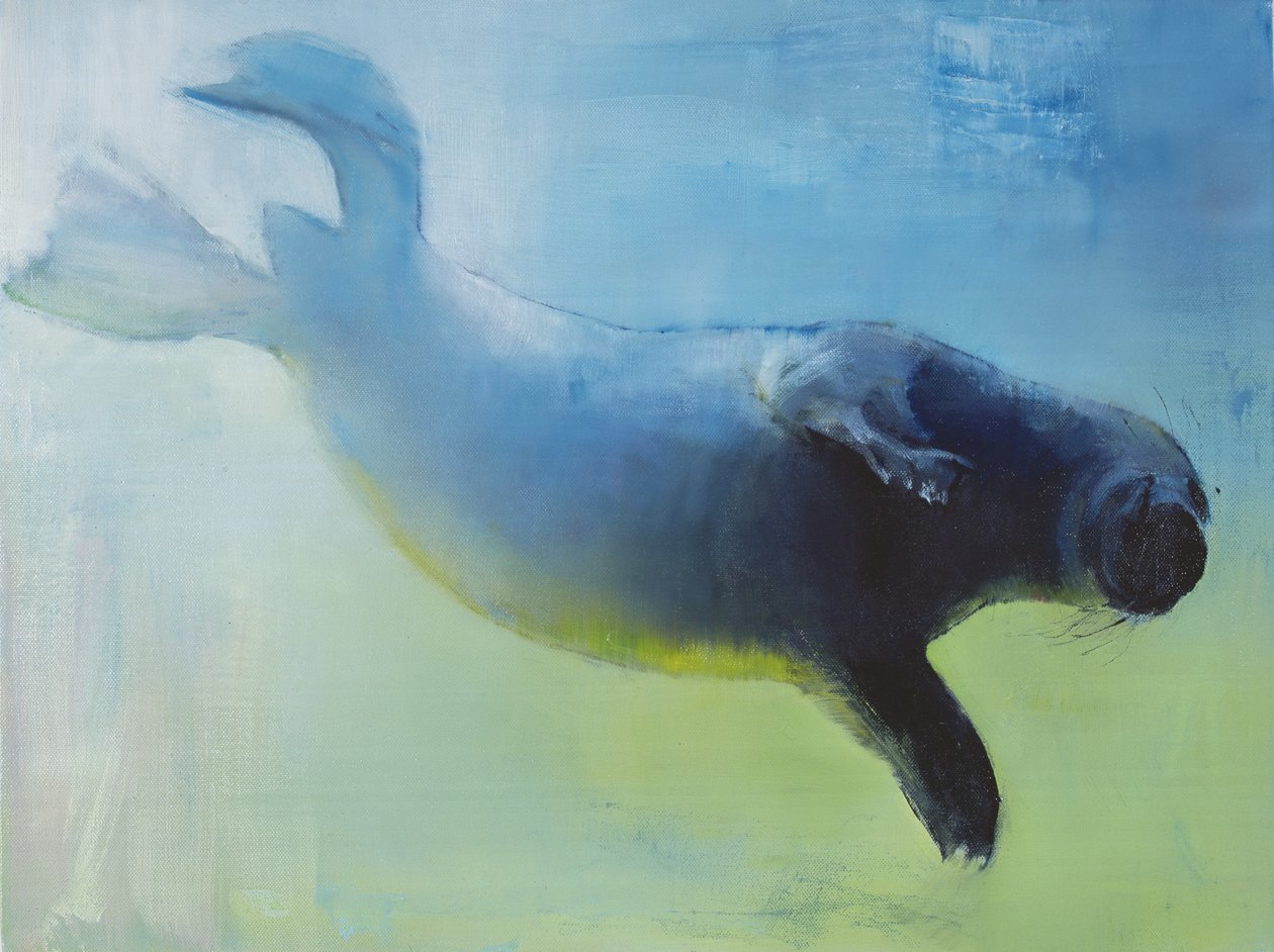 Ağırlıksız, 2003 by Mark Adlington