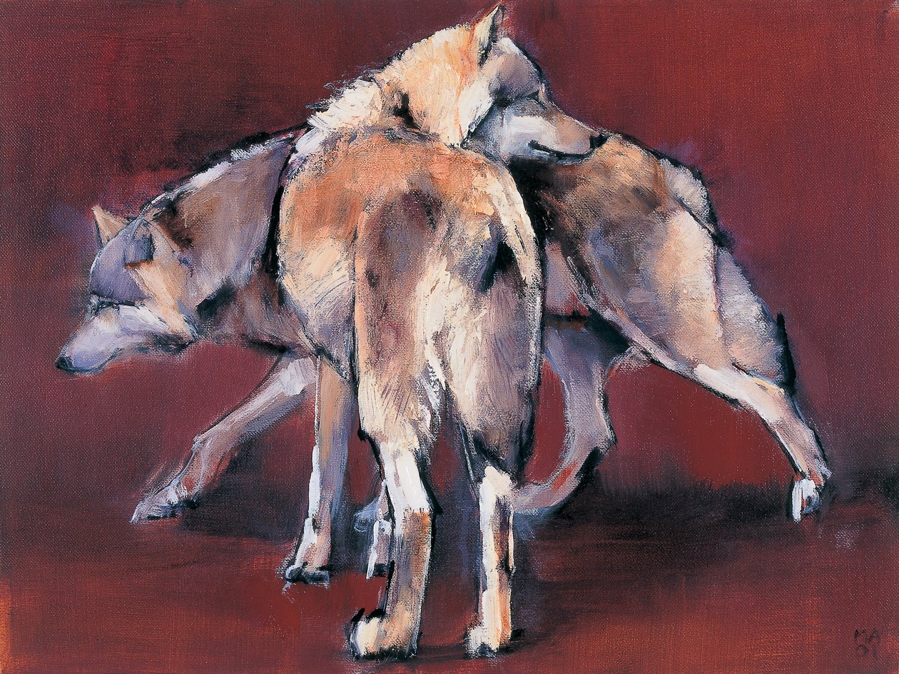 Kurt Kompozisyonu, 2001 by Mark Adlington