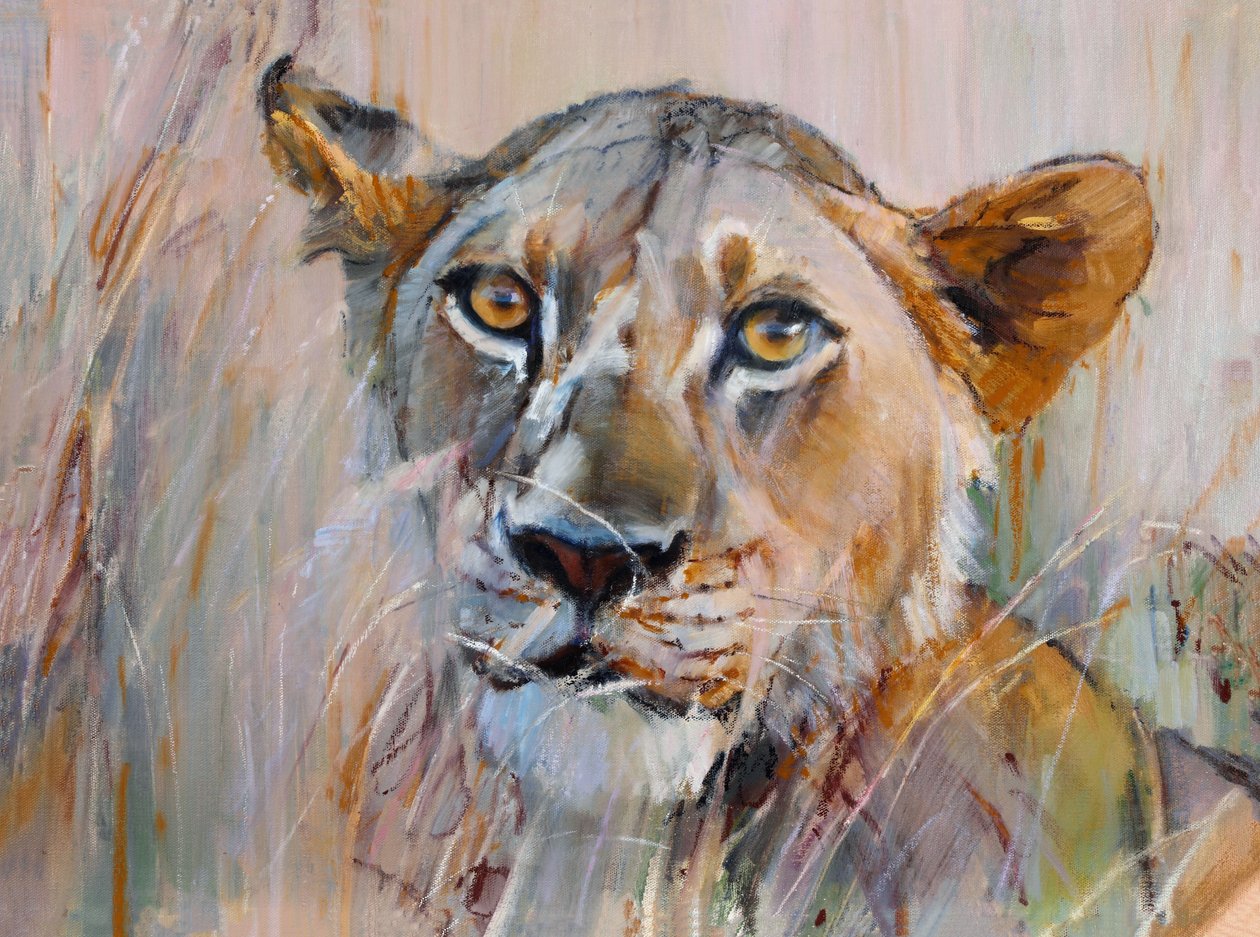 Çimlerdeki Genç Aslan, 2020 by Mark Adlington
