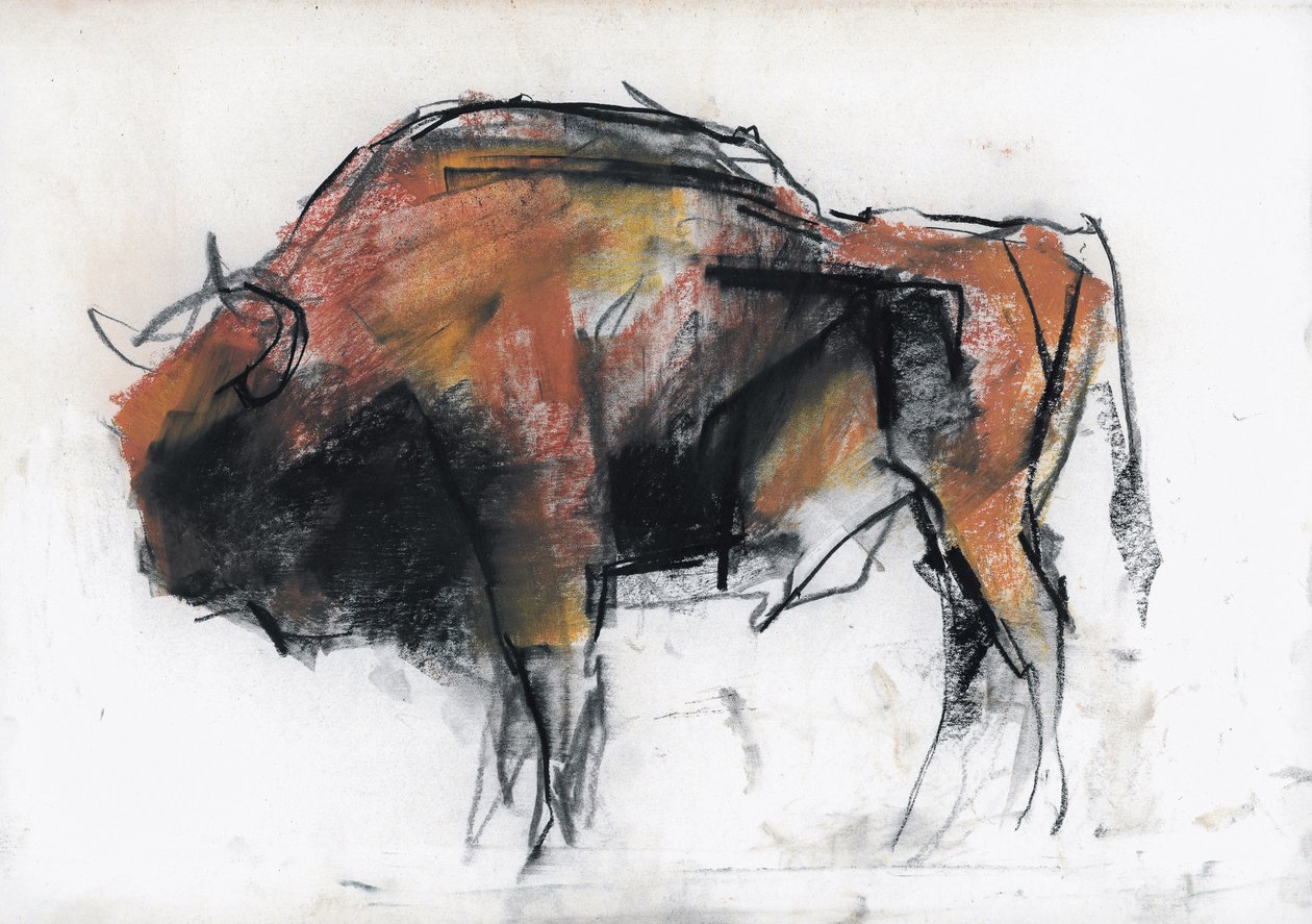 Zubre, Bialowieza (kağıt üzerinde kömür ve conte) by Mark Adlington