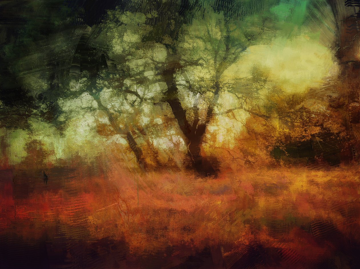  by Mark Gordon