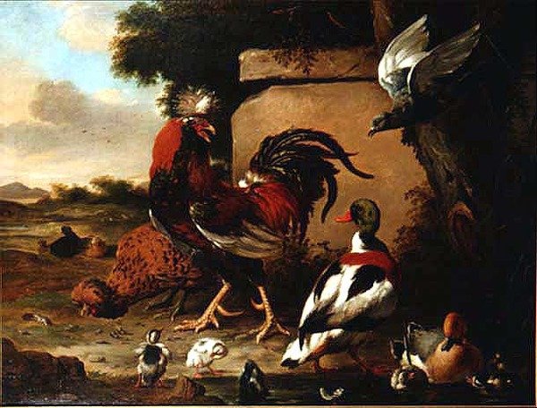 Ördek, Ördek Yavrusu ve Güvercin ile Horoz by Marmaduke Craddock