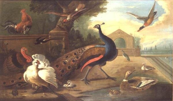 ಅಜ್ಞಾತ ಚಿತ್ರ ಟರ್ಕಿ by Marmaduke Craddock
